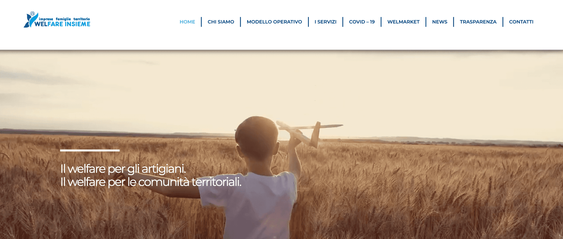 WelfareInsieme